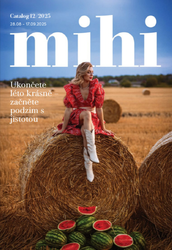 Snímek obrazovky 2025-08-31 114721